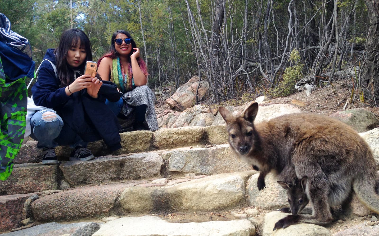 From Launceston: Guided Walking Tour of Wineglass Bay tickets in Launceston - Activities | TickYourList