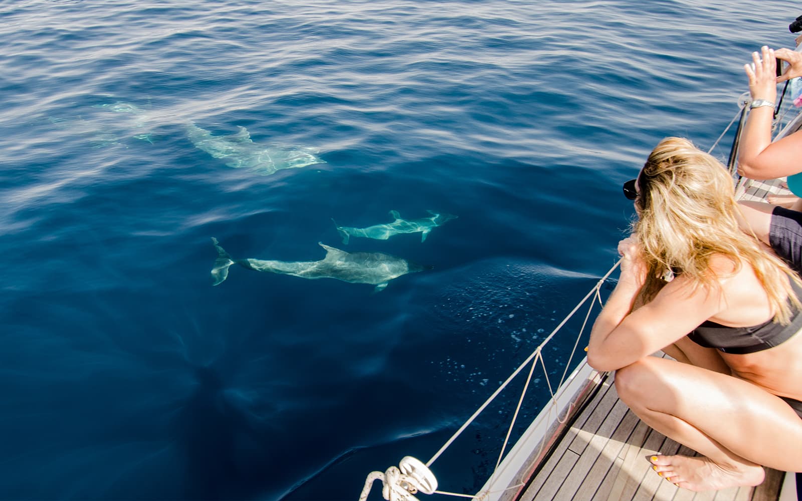 Dolphin Watching Tour at Sunset with Aperitif in Taormina tickets in Taormina - Features | TickYourList