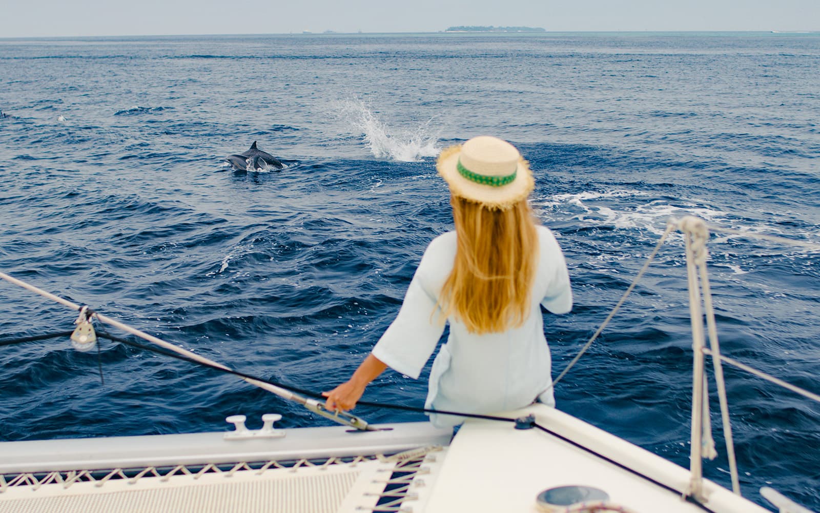 Guided Dolphin-Watching Sunset Excursion on the Taormina coast with Aperitif