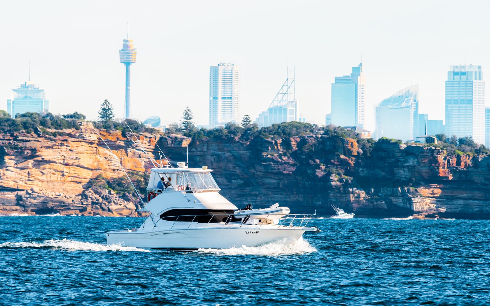 Luxury Sydney Whale Watching Cruise with Lunch and Open Bar