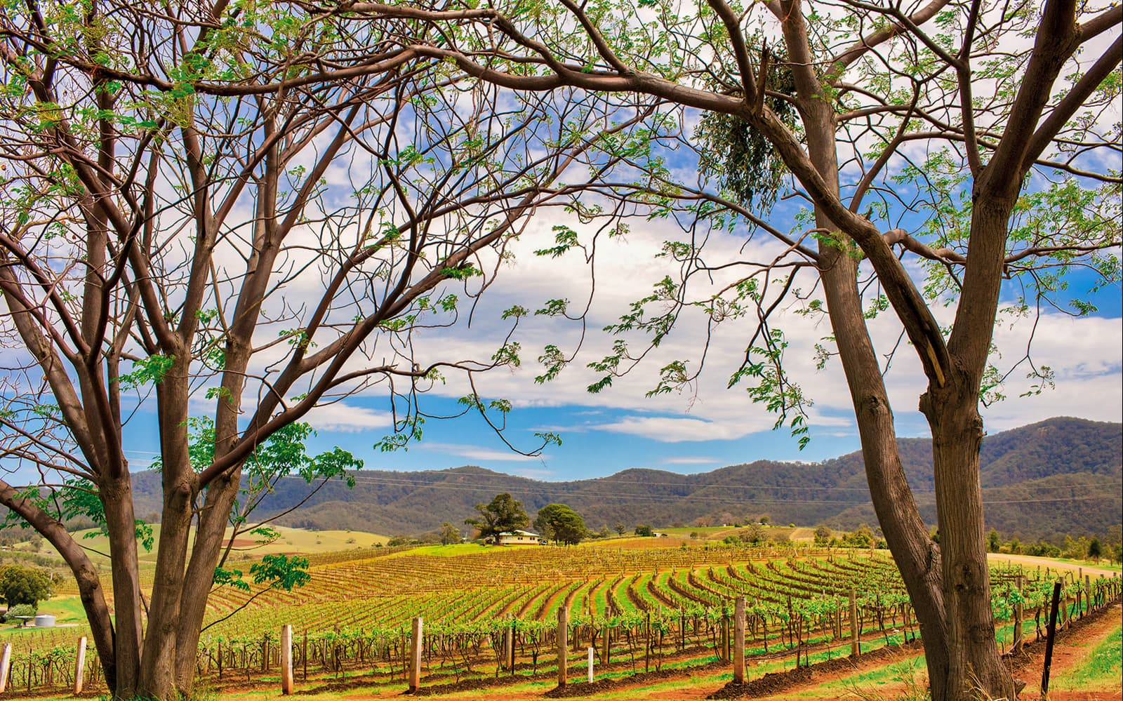 Hunter Valley Food and Wine Lovers Experience tickets in Sydney - Highlights | TickYourList