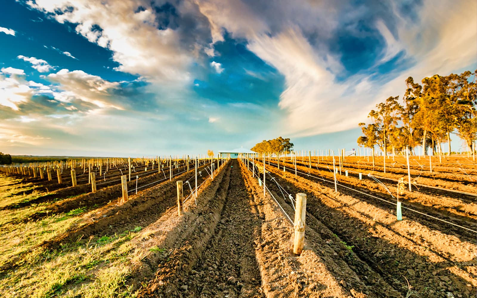 Hunter Valley Food and Wine Lovers Experience tickets in Sydney - Full Experience | TickYourList