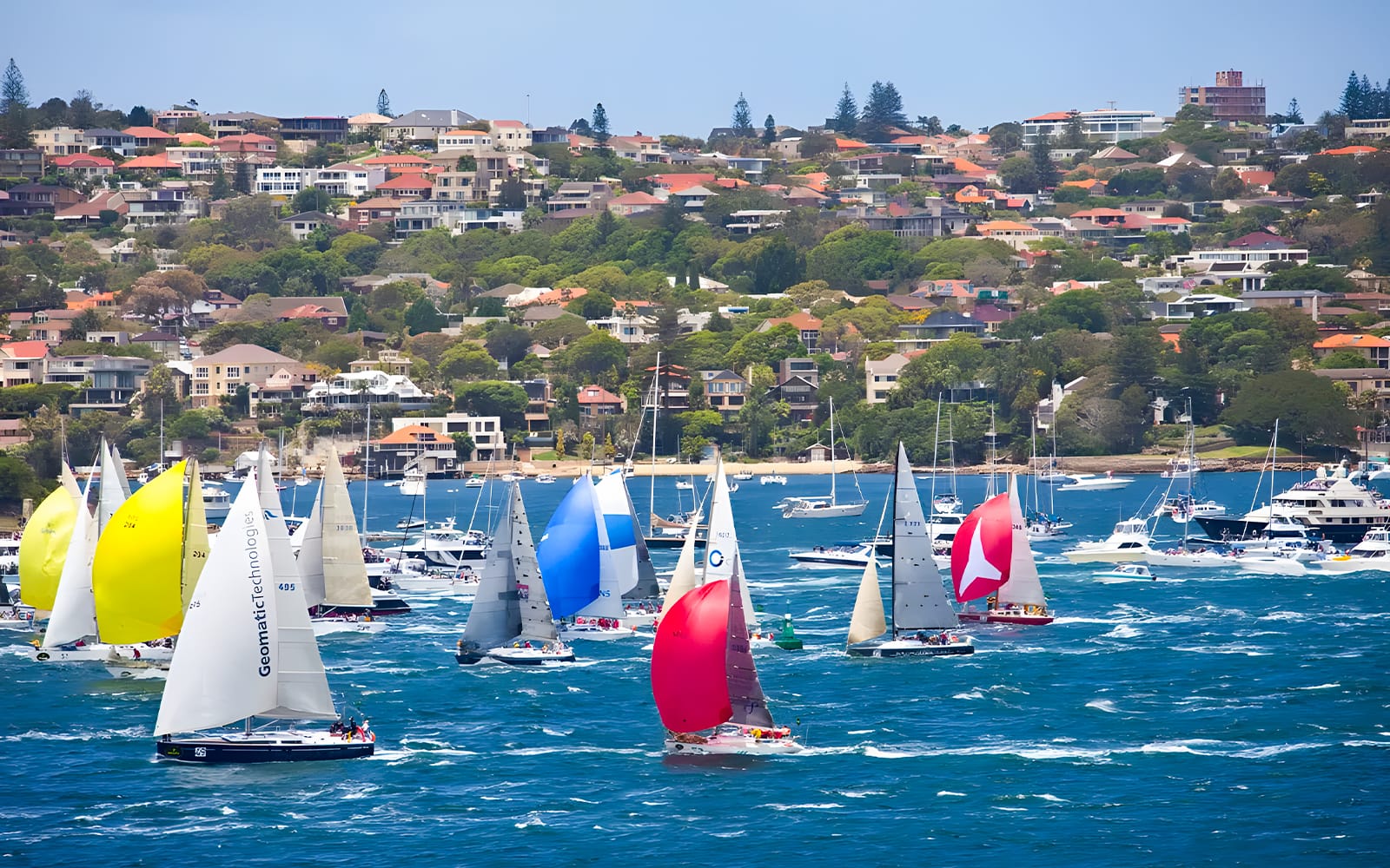 Sydney to Hobart Yacht Race Boxing Day Lunch Cruise tickets in Sydney - Attractions | TickYourList