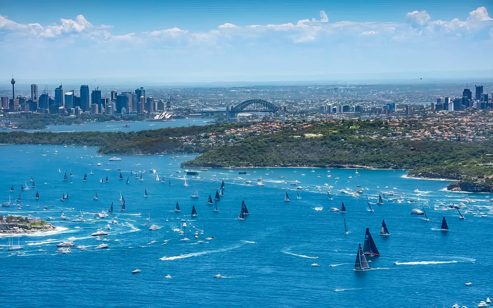 Sydney to Hobart Yacht Race Boxing Day Lunch Cruise tickets in Sydney - Activities | TickYourList