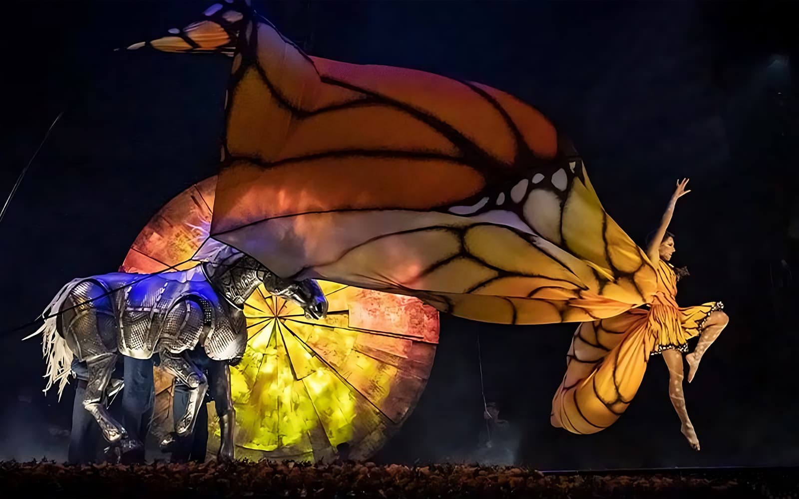 Cirque du Soleil: LUZIA Sydney tickets in Sydney - Activities | TickYourList