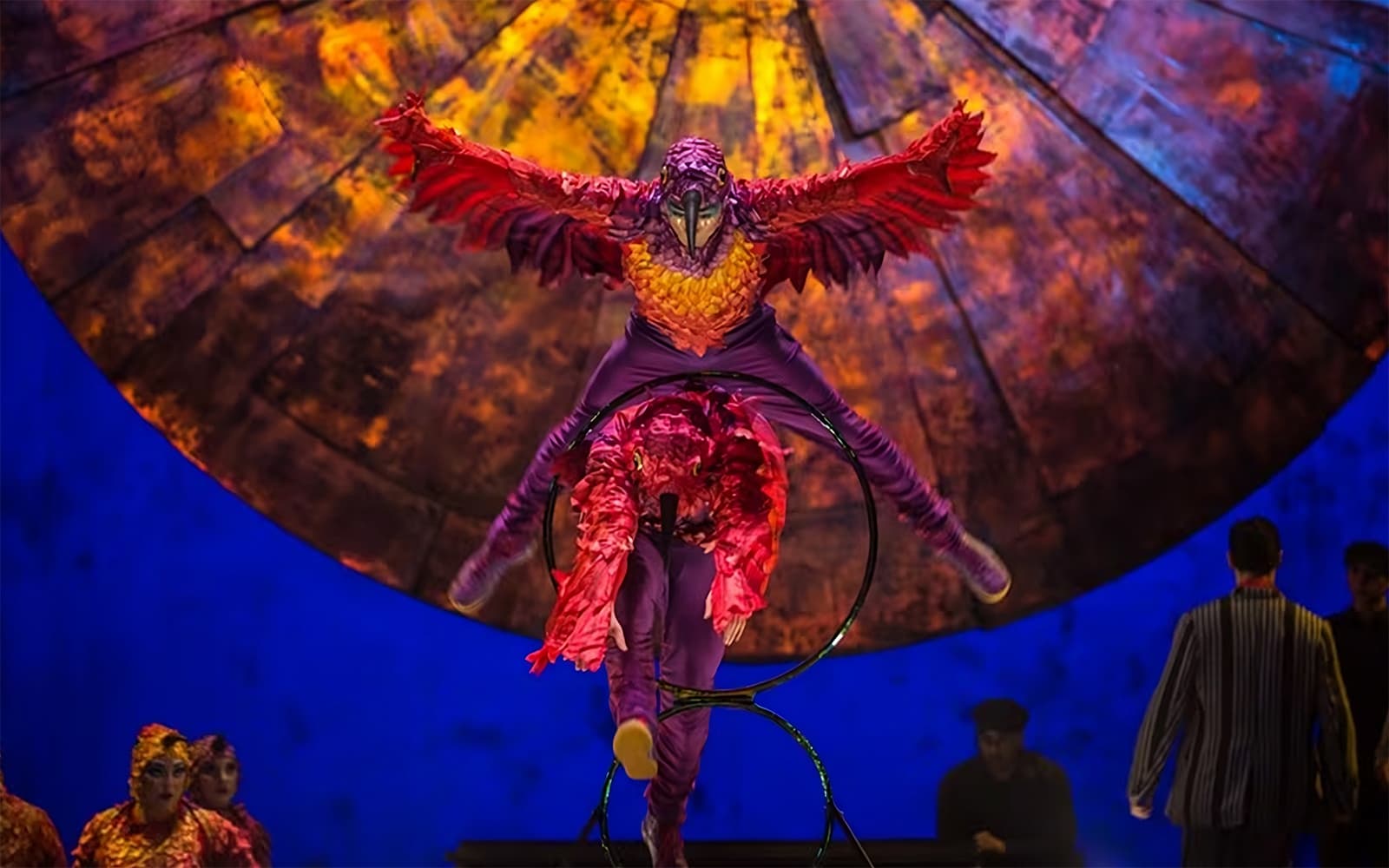 Cirque du Soleil: LUZIA Sydney tickets in Sydney - Features | TickYourList