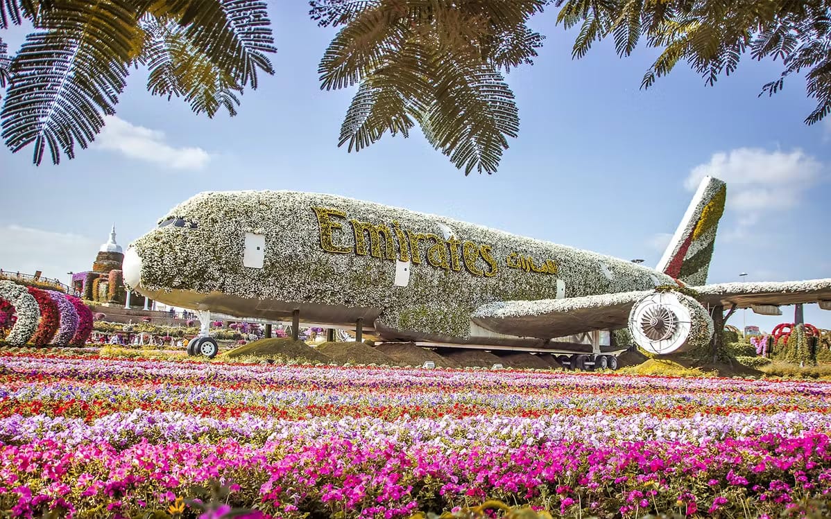 9461cbfd-9ac1-4337-b162-e078b95a9f6d-14133-dubai-dubai-miracle-garden-01.avif