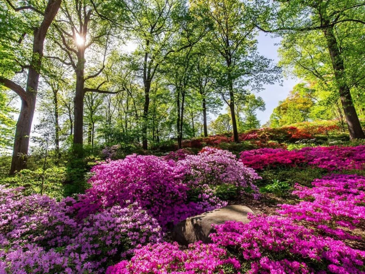 New York Botanical Garden Tickets