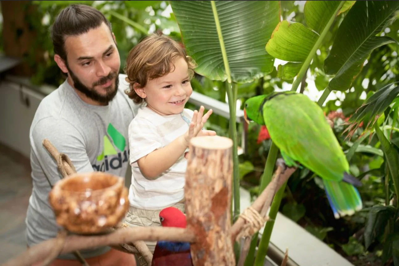 Green Planet Dubai Tickets: The perfect indoor tropical rainforest experience