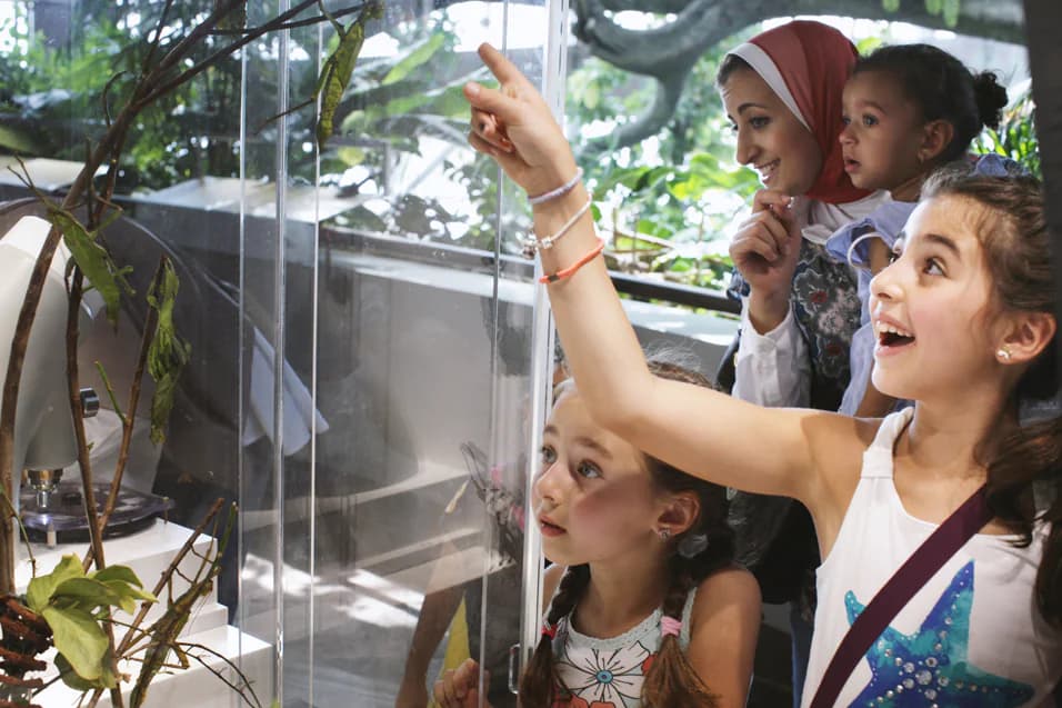 The Green Planet in Dubai showcasing vibrant ecosystems