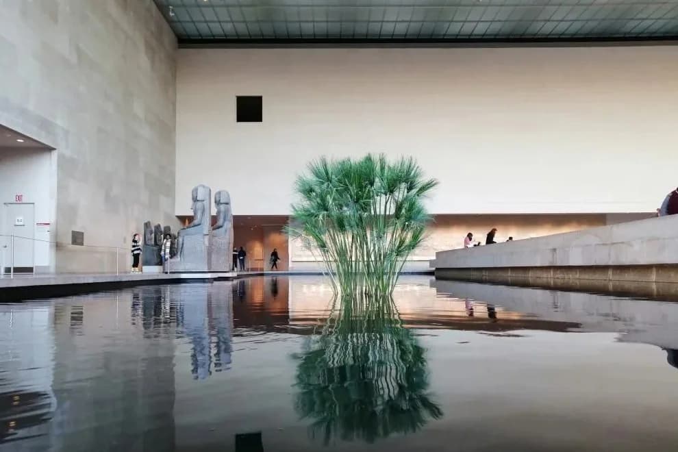 Metropolitan Museum of Art tour in New York City