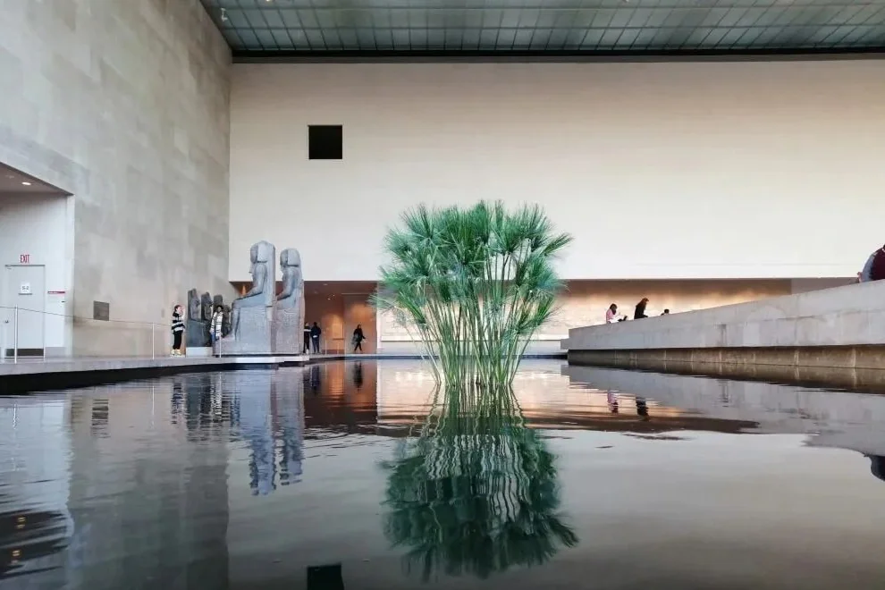 Metropolitan Museum of Art tour in New York City