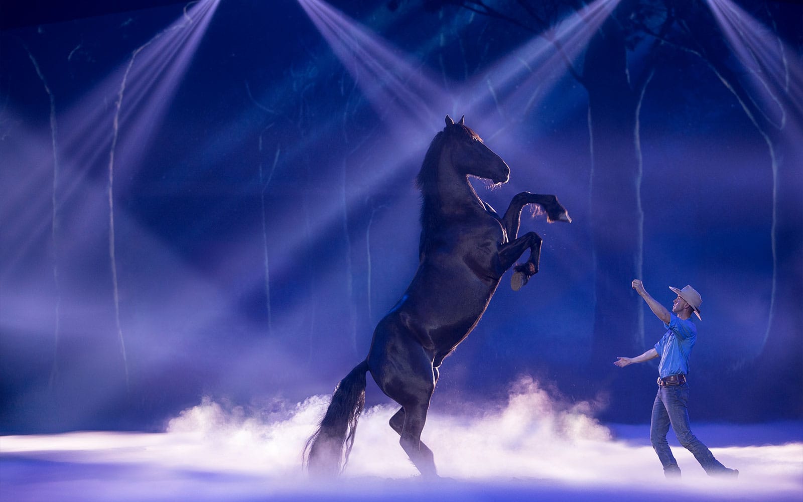 Australian Outback Spectacular Heartland Show Tickets with Dinner in Gold Coast - Activities | TickYourList