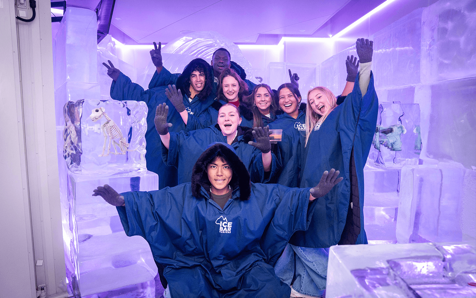 IceBar Surfers Paradise Tickets in Gold Coast - Features | TickYourList