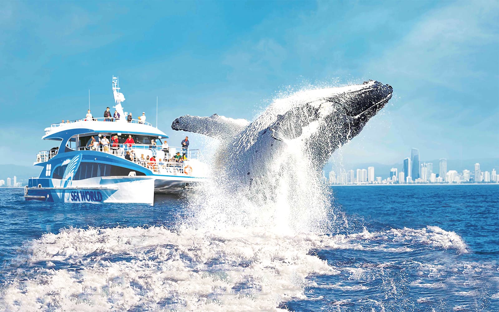 Sea World Whale Watching Cruise