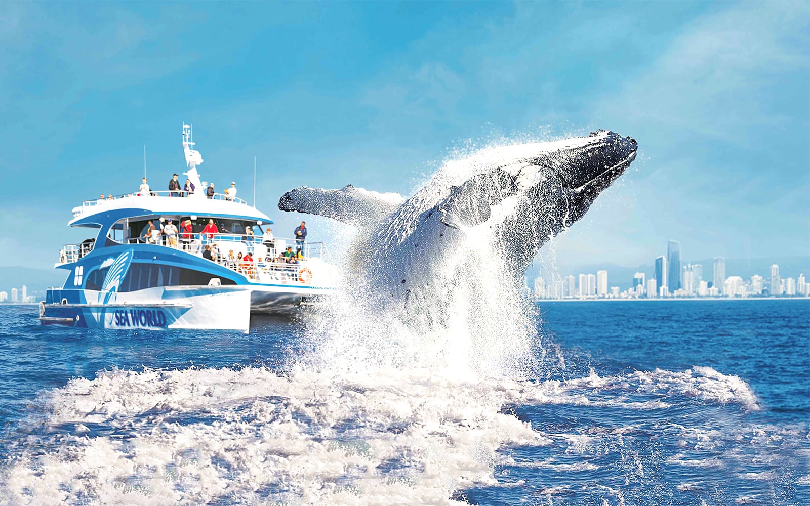 Premium Whale Watching Cruise by SeaWorld experience tickets in Gold Coast | TickYourList