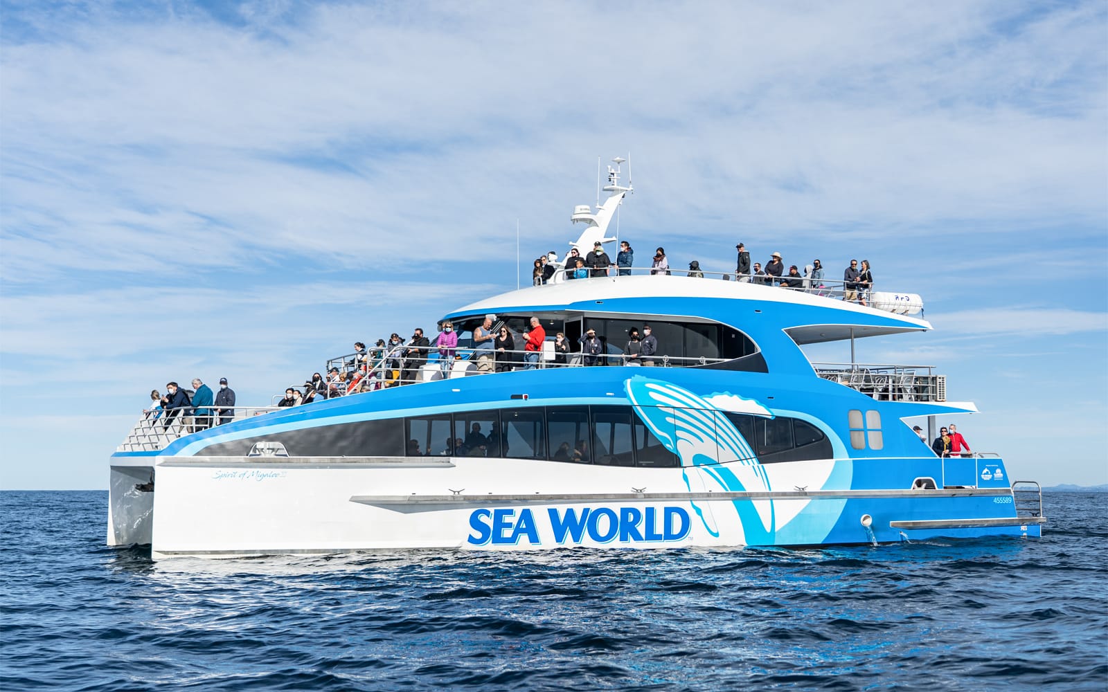 Premium Whale Watching Cruise by SeaWorld tickets in Gold Coast - Highlights | TickYourList