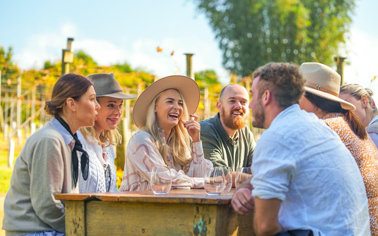 Full-Day Winery Tour: Gold Coast Pick-Up tickets in Gold Coast - Activities | TickYourList