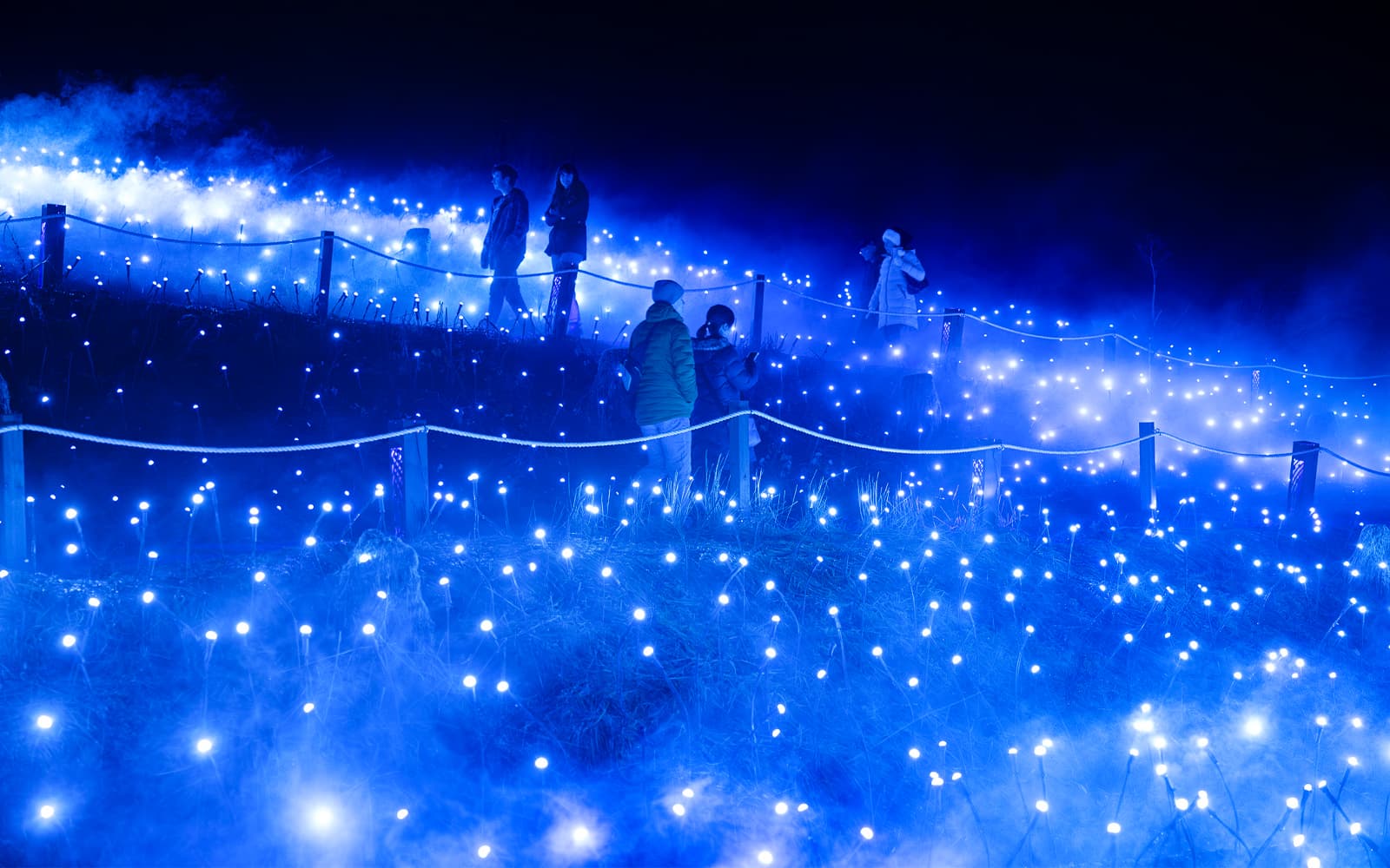 Astra Lumina at Currumbin Wildlife Sanctuary tickets in Gold Coast - Attractions | TickYourList