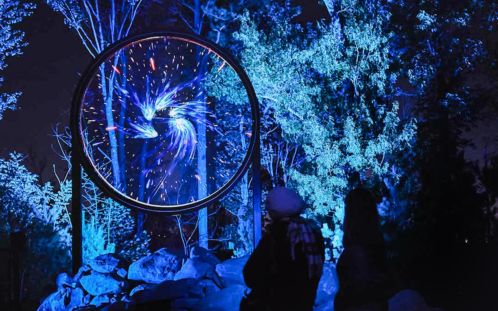 Astra Lumina at Currumbin Wildlife Sanctuary tickets in Gold Coast - Activities | TickYourList