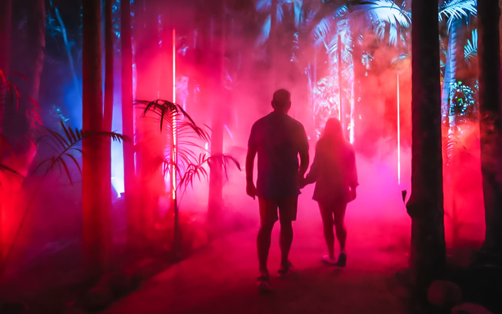 Astra Lumina at Currumbin Wildlife Sanctuary tickets in Gold Coast - Highlights | TickYourList