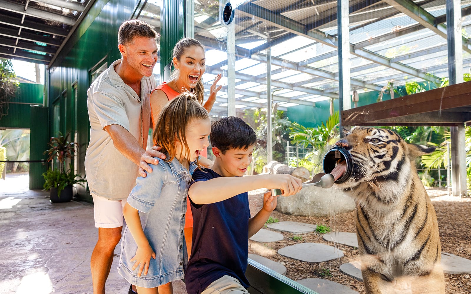 1-Day Pass: Dreamworld Gold Coast Tickets in Gold Coast - Activities | TickYourList