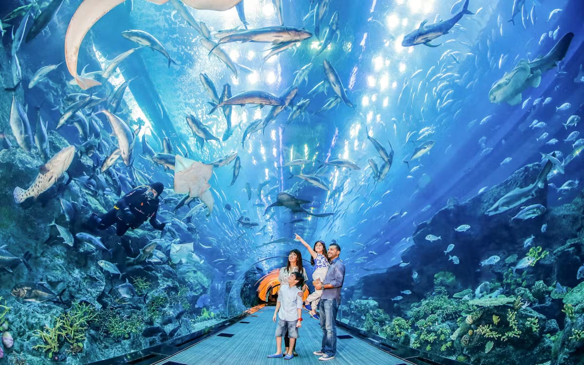 5da85e07-098f-4e38-9138-315825477efb-2545-dubai-dubai-aquarium---underwater-zoo---burj-khalifa-combo-02.avif