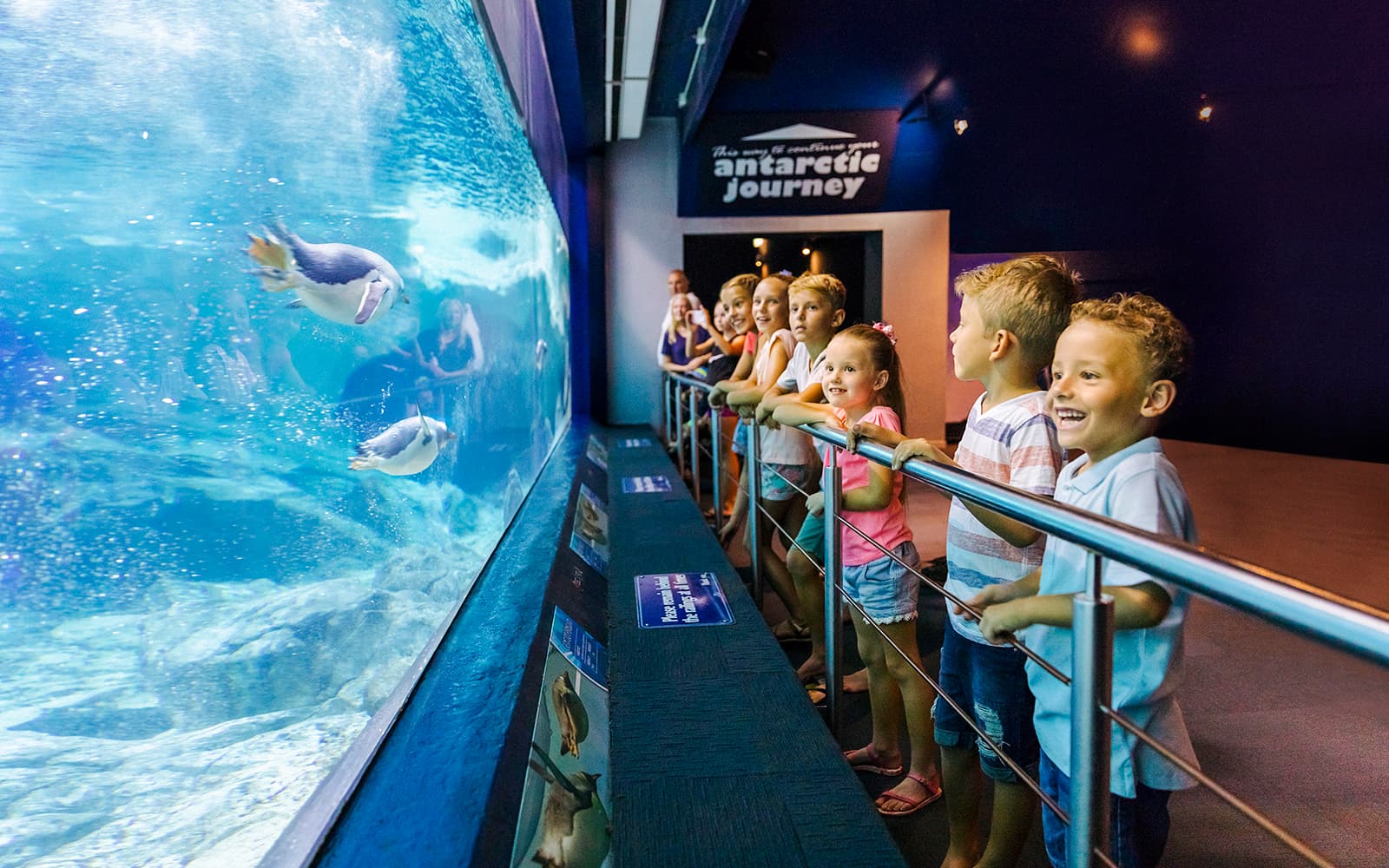 Unlimited 7-Day Theme Parks Pass: Movie World, Sea World, Wet'n’Wild & Paradise Country tickets in Gold Coast - Attractions | TickYourList