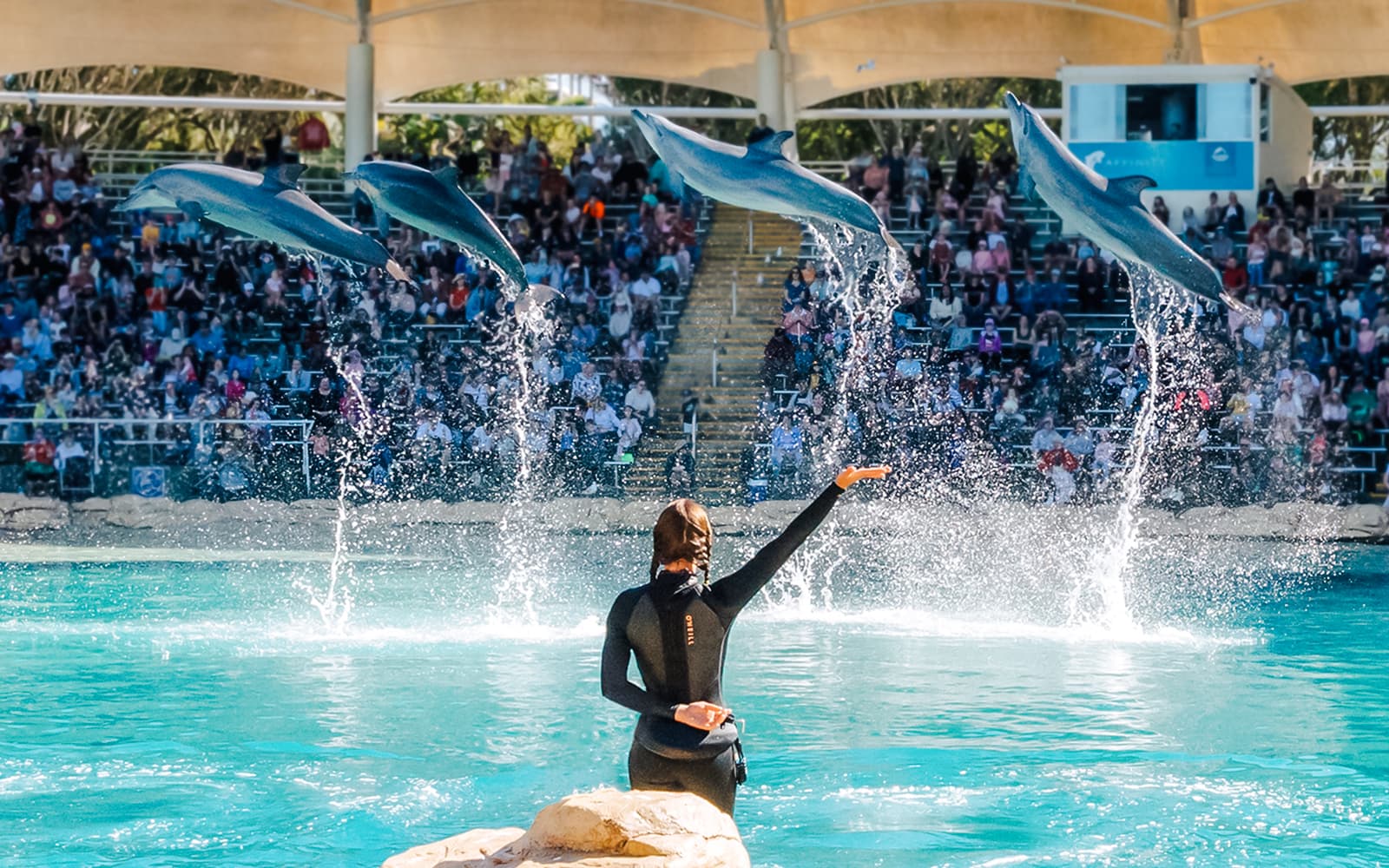 Unlimited 5-Day Theme Parks Pass: Movie World, Sea World & Wet'n’Wild tickets in Gold Coast - Activities | TickYourList