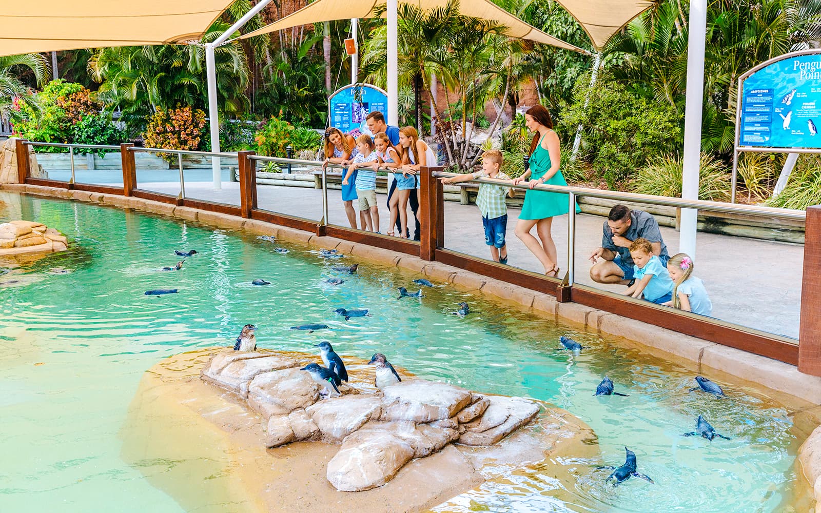 Unlimited 5-Day Theme Parks Pass: Movie World, Sea World & Wet'n’Wild tickets in Gold Coast - Highlights | TickYourList