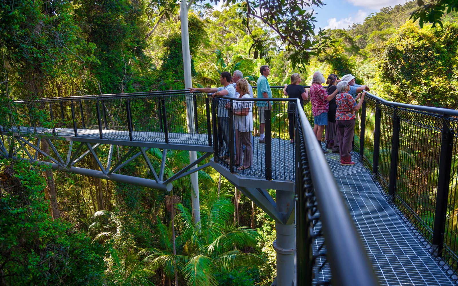 Tamborine Rainforest Skywalk Entry Tickets in Gold Coast - Explore More | TickYourList