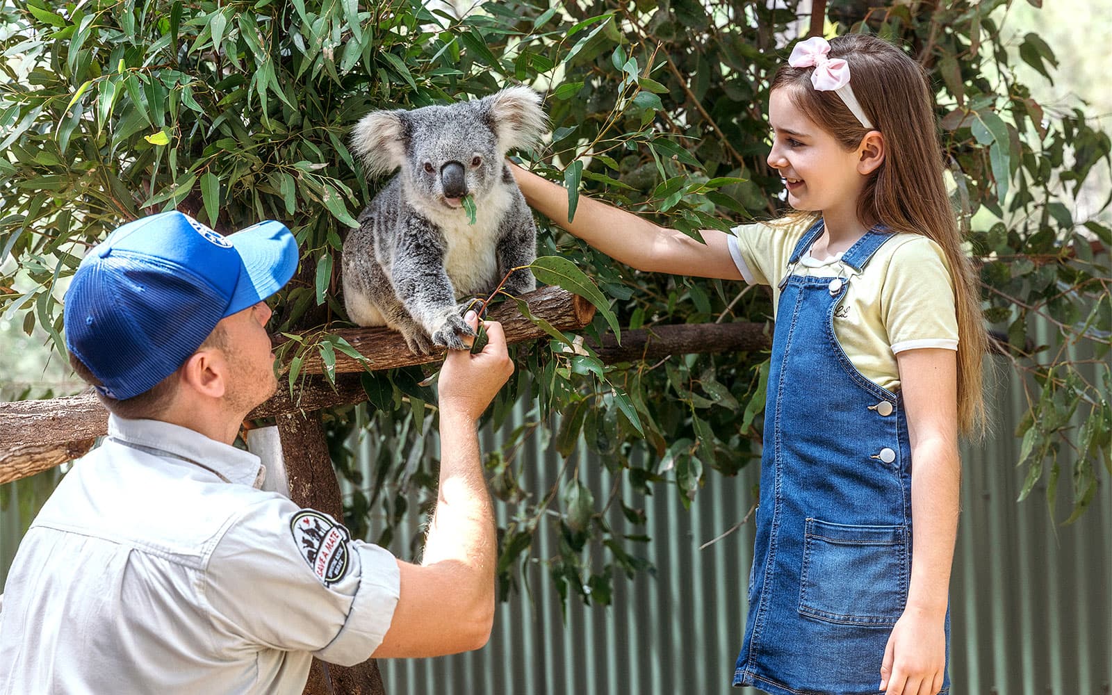 Tickets to Paradise Country in Gold Coast - Activities | TickYourList