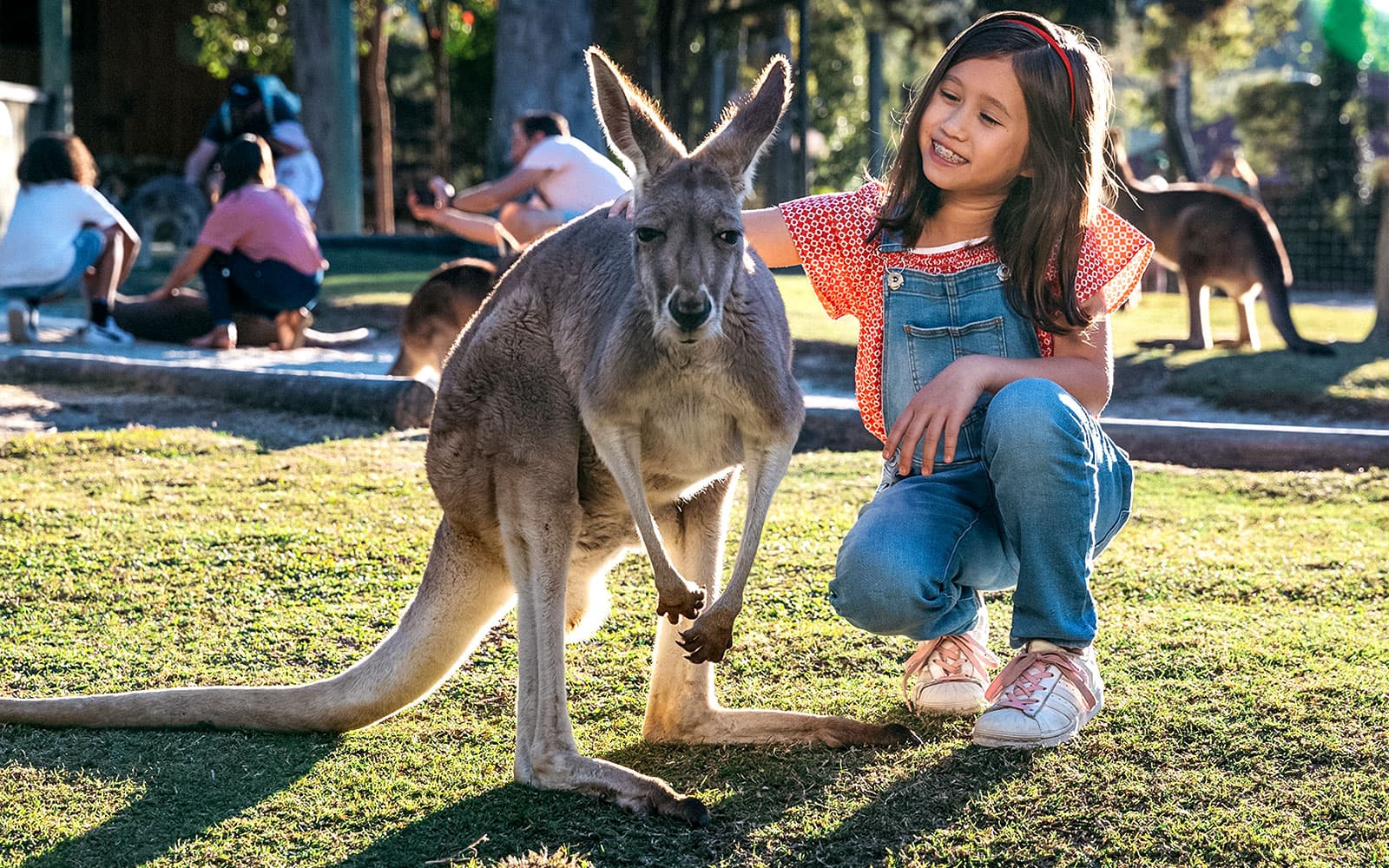 Tickets to Paradise Country in Gold Coast - Highlights | TickYourList