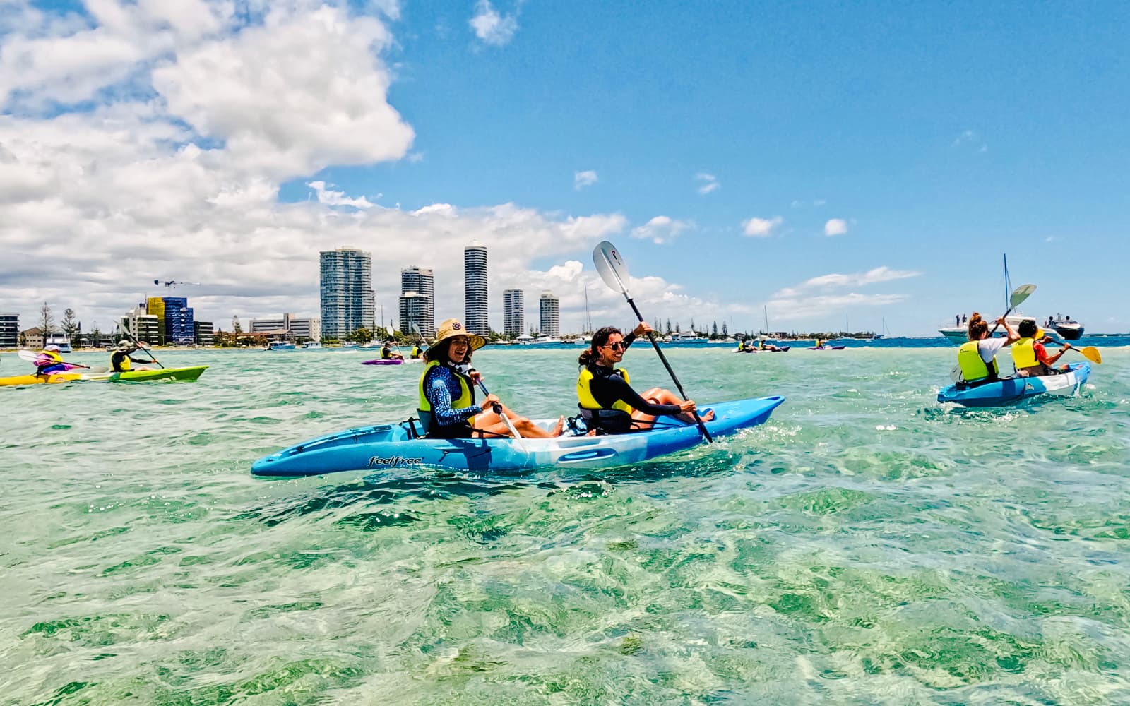 Gold Coast Dolphin Kayaking & Snorkel Tour tickets in Gold Coast - Activities | TickYourList