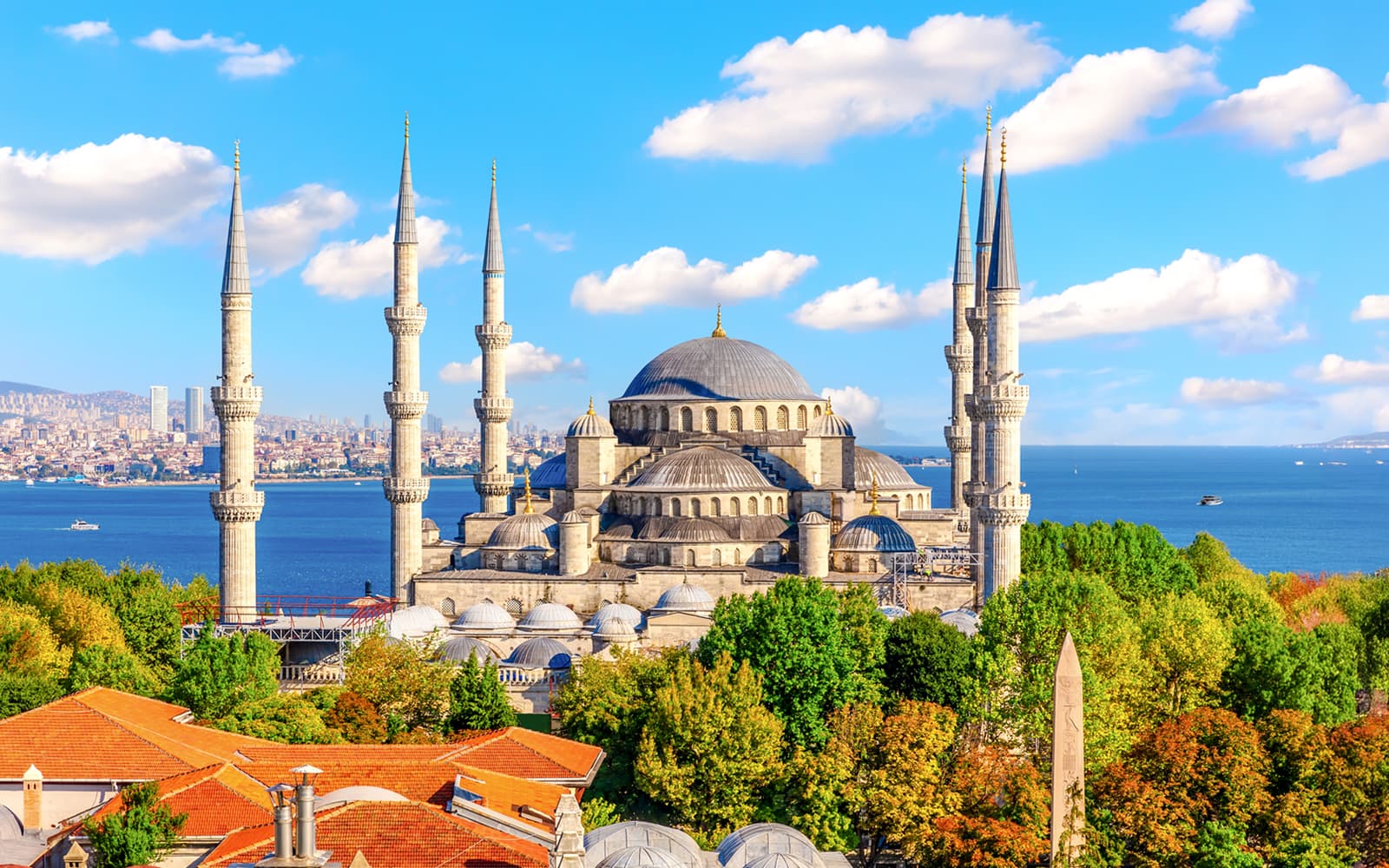 Blue Mosque and Hagia Sophia Guided Tour with Tickets in Istanbul - Highlights | TickYourList
