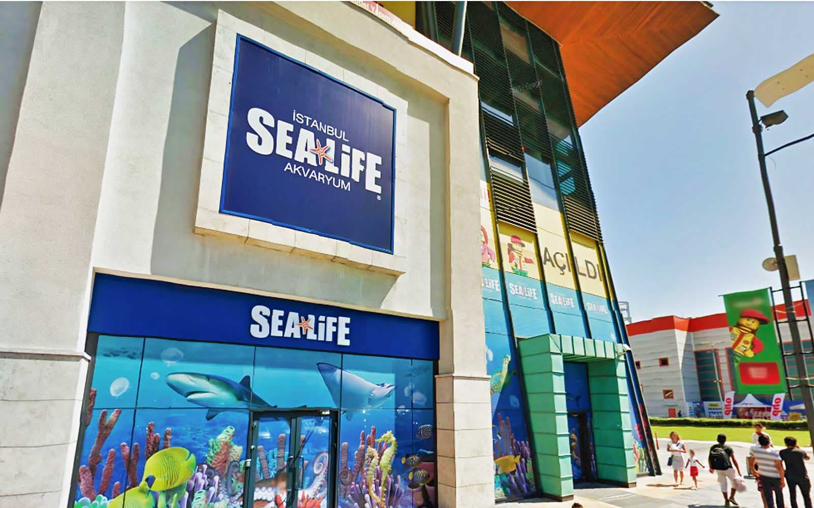Sea Life Istanbul Ticket experience in Istanbul | TickYourList