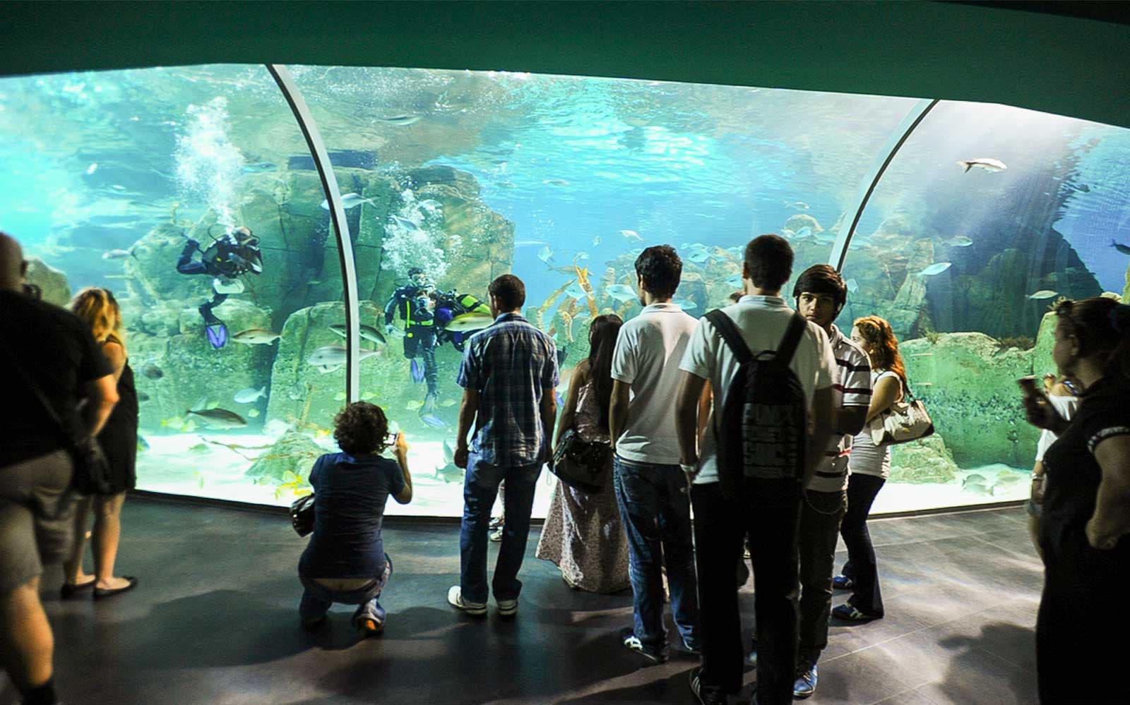 Sea Life Istanbul Ticket in Istanbul - Activities | TickYourList