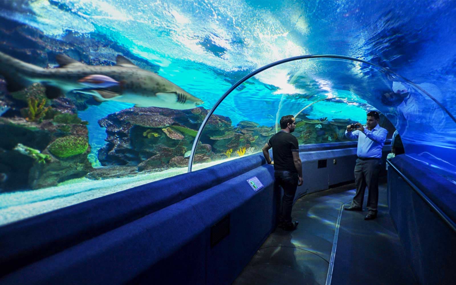 Sea Life Istanbul Ticket in Istanbul - Highlights | TickYourList