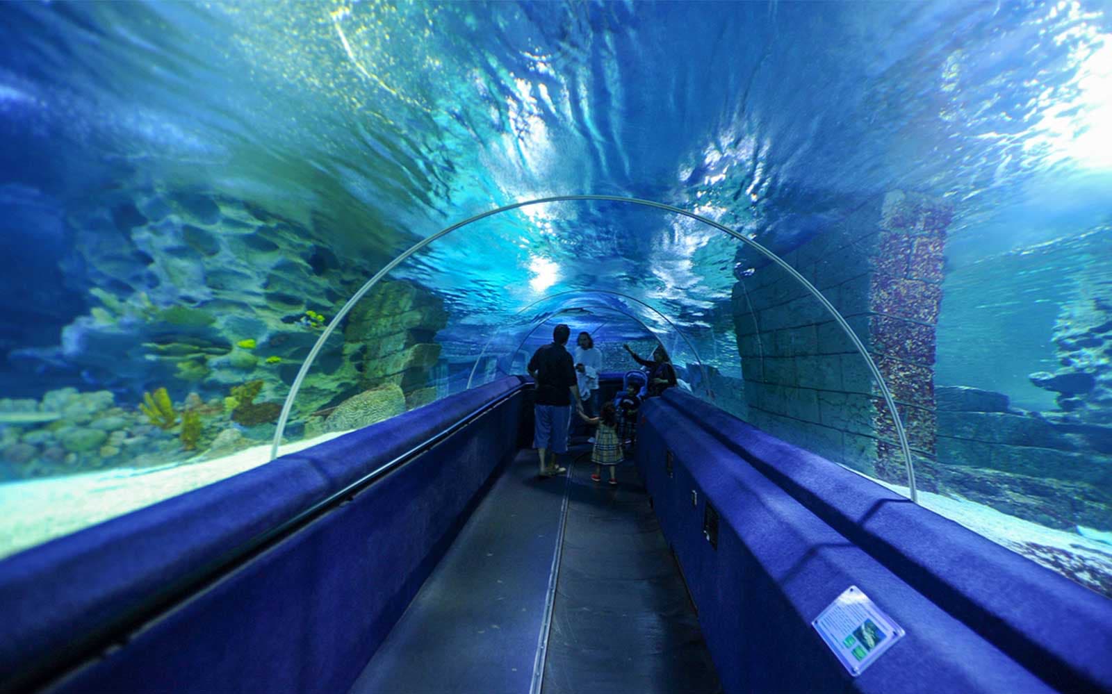 Sea Life Istanbul Ticket in Istanbul - Features | TickYourList