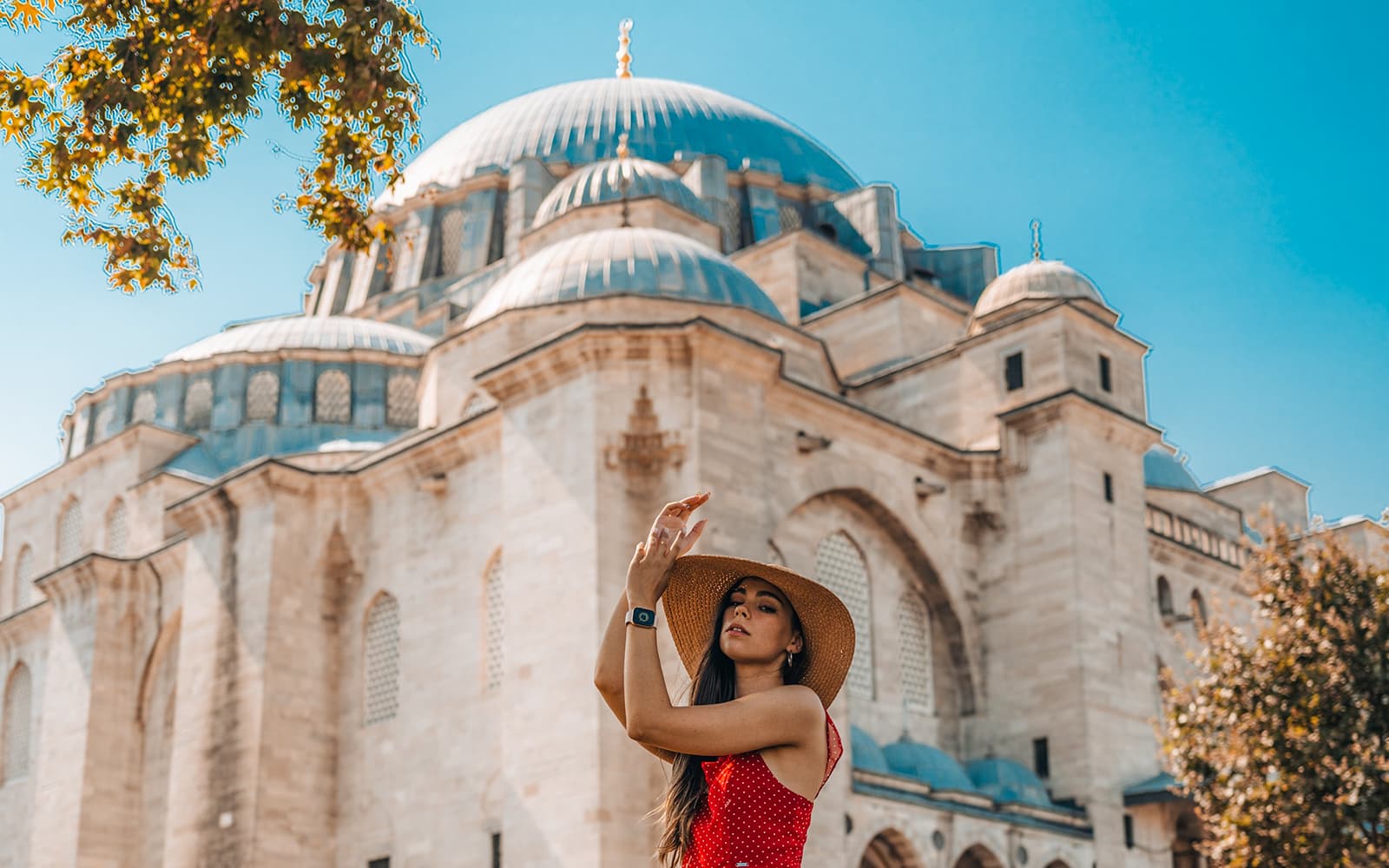 Half-Day Walking Tour of the Magnificent Mosques in Istanbul tickets in Istanbul - Highlights | TickYourList