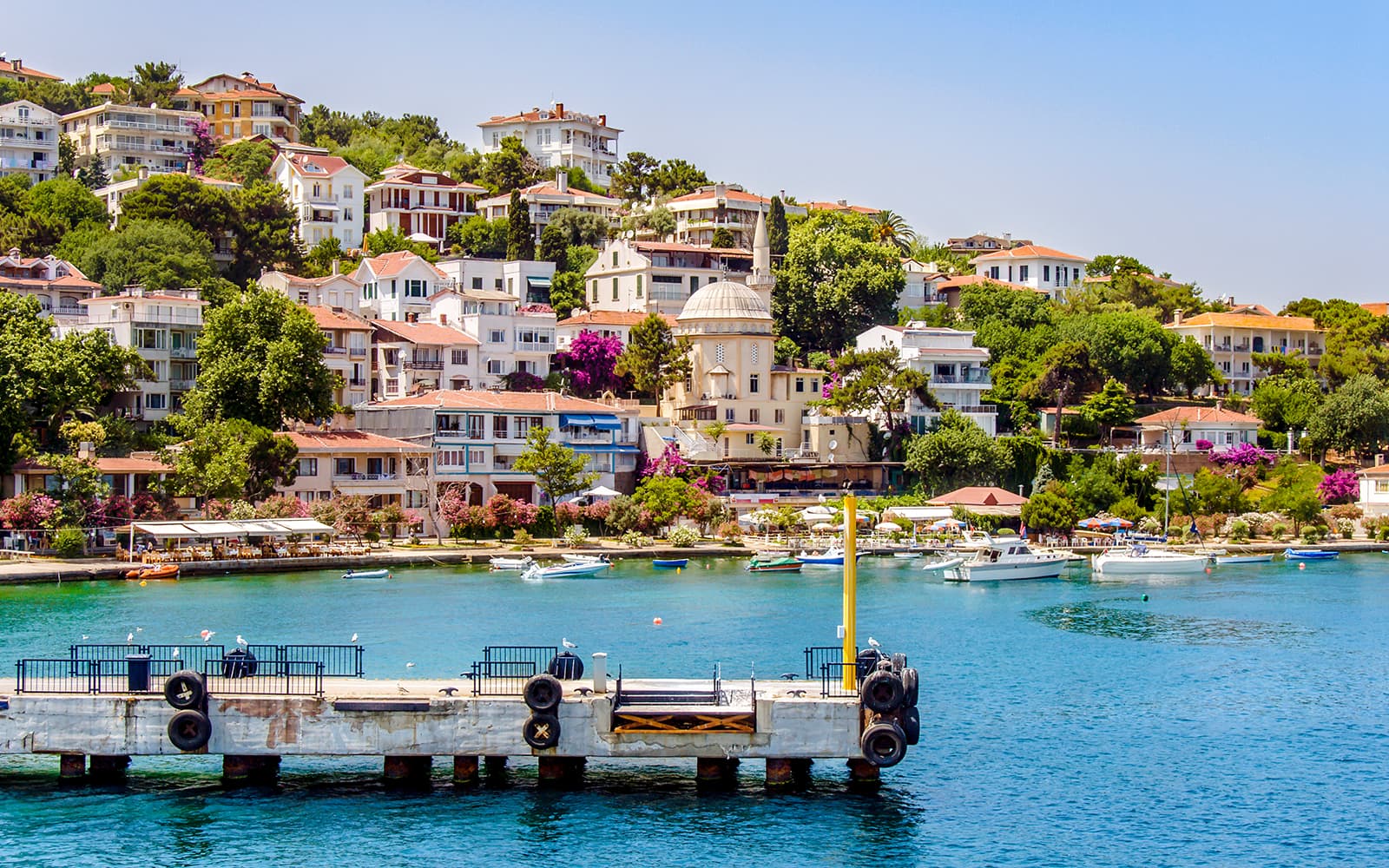 Istanbul to Princes' Islands Full-Day Guided Tour