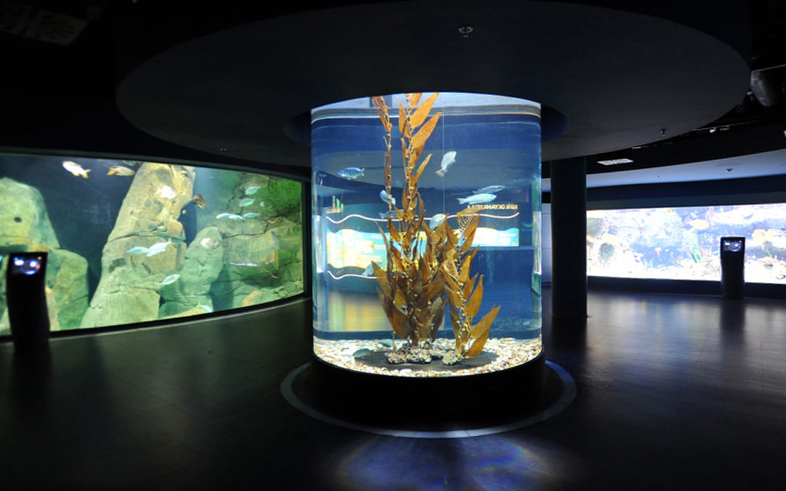 607b503adc2bd5ff4c284241f947a133-20219-istanbul-istanbul-aquarium-ticket-and-transfer-03.jpg