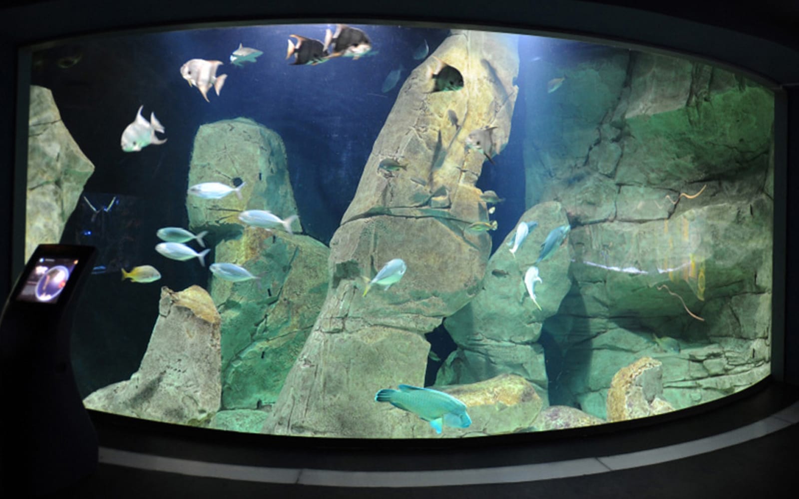 a50b5bfe3440a4b708f6036666a7f53c-20219-istanbul-istanbul-aquarium-ticket-and-transfer-04.jpg