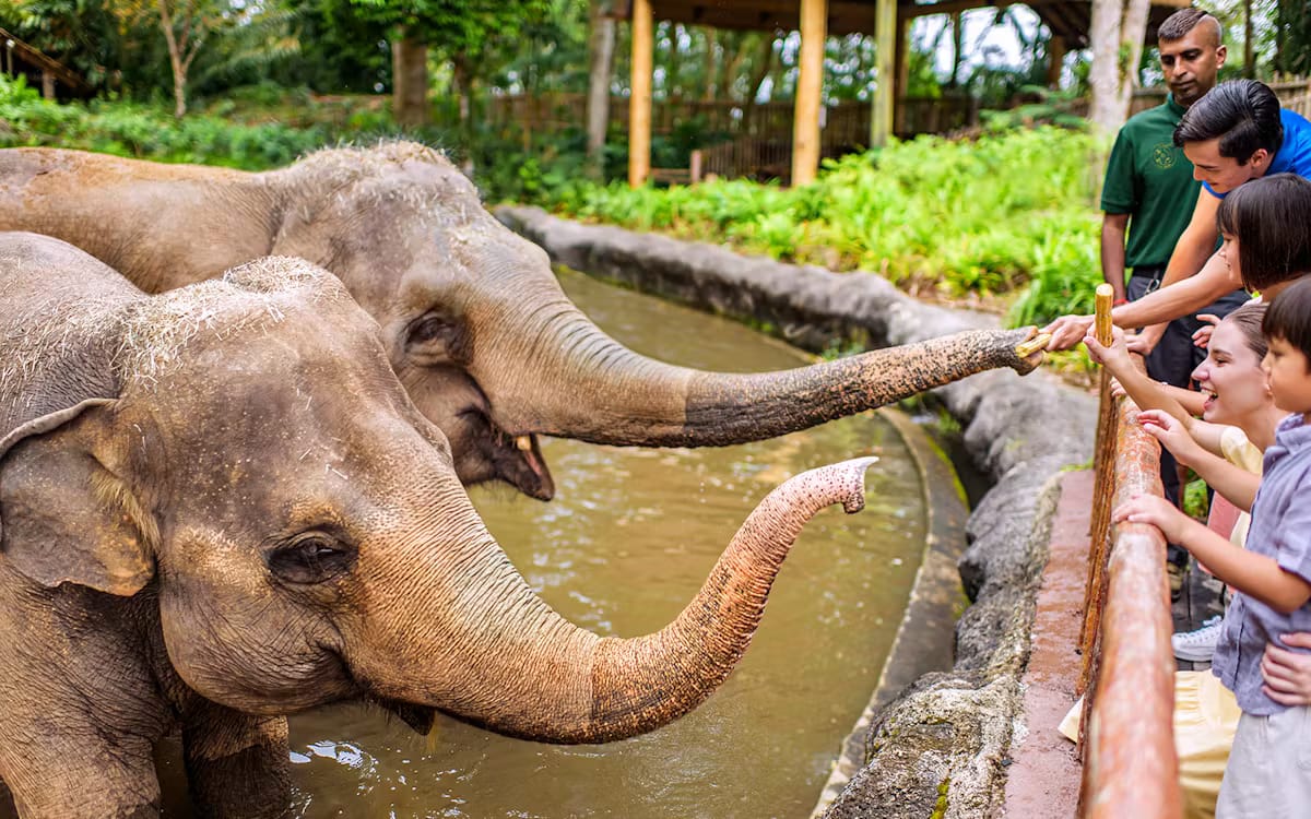 4fc9c914-5ca5-44fc-be40-e7a609294d66-7360-singapore-singapore-zoo-05.avif