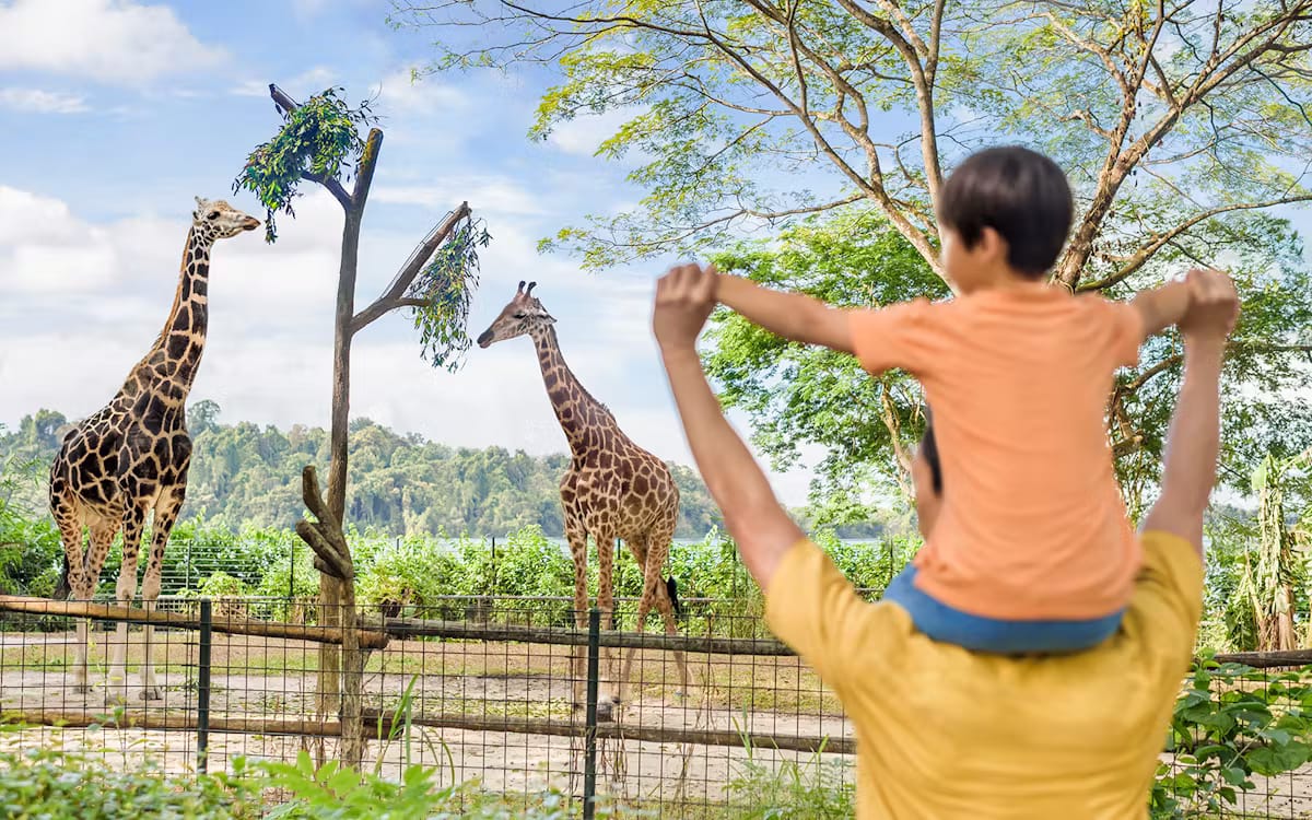 aace3b35-6fea-4897-8f00-623bf98949bc-7360-singapore-singapore-zoo-06.avif