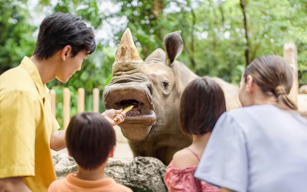 3ade13a3-678d-4460-b55e-5736433dfa6c-7360-singapore-singapore-zoo-02.avif