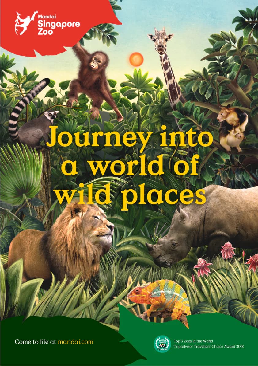 Visitors enjoying wildlife at Singapore Zoo