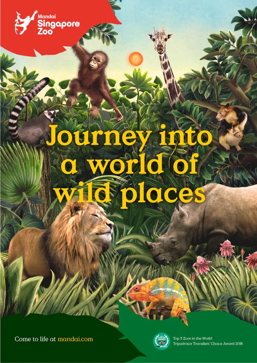 Visitors enjoying wildlife at Singapore Zoo