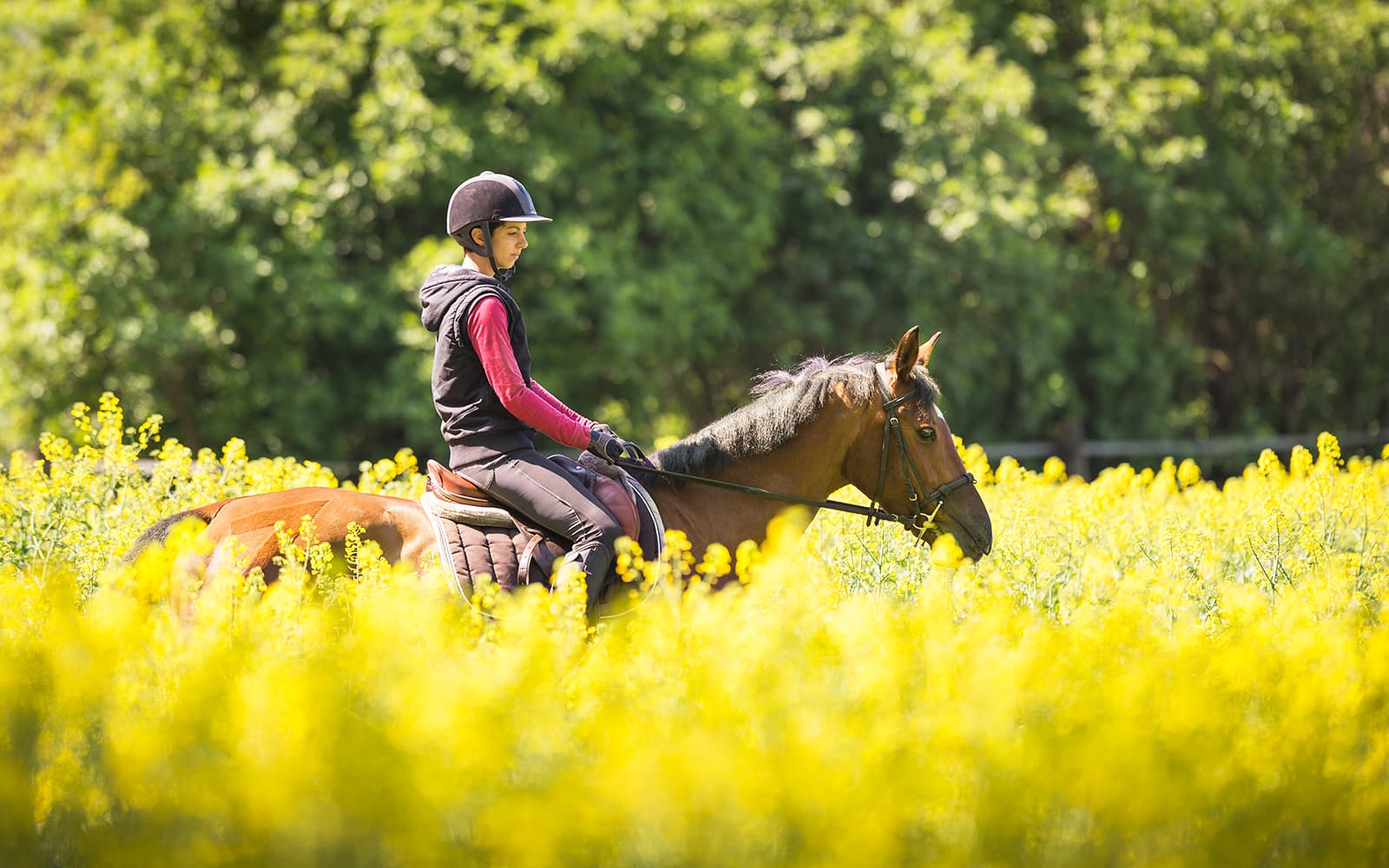 Tickets to Antalya Horse Riding Experience with Transfers in Antalya - Attractions | TickYourList