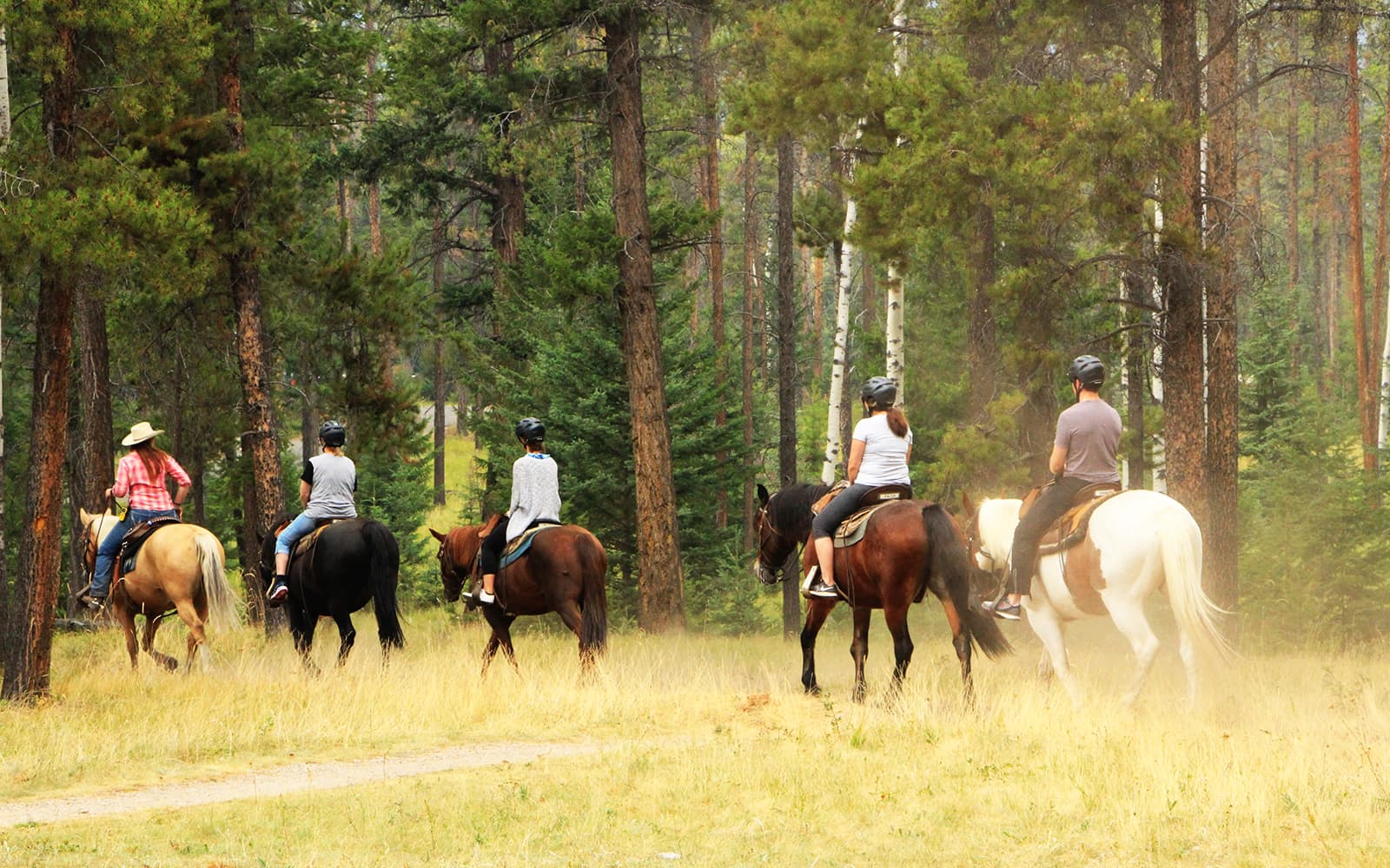 Tickets to Antalya Horse Riding Experience with Transfers in Antalya - Features | TickYourList